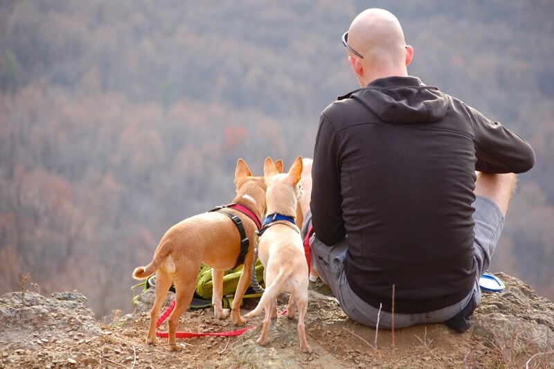 how does preventative care coverage work _ man hiking with two Chihuahua dogs