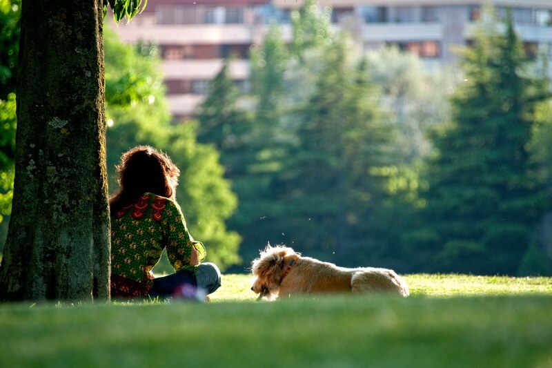 woman and dog sitting next to a tree in a park