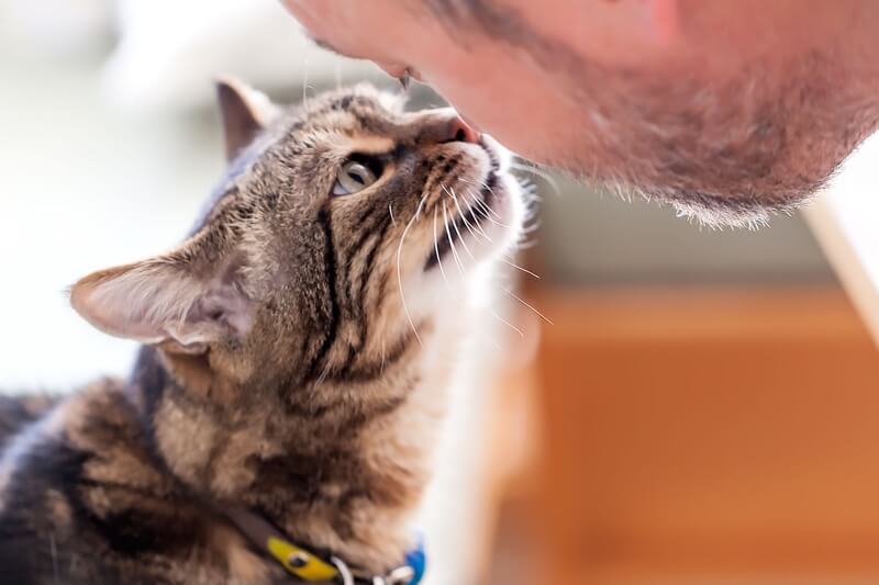 what services are included in preventive care coverage _ cat nose booping man