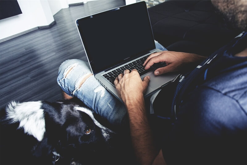 how to set a proper pet budget _ dog laying next to man using a laptop