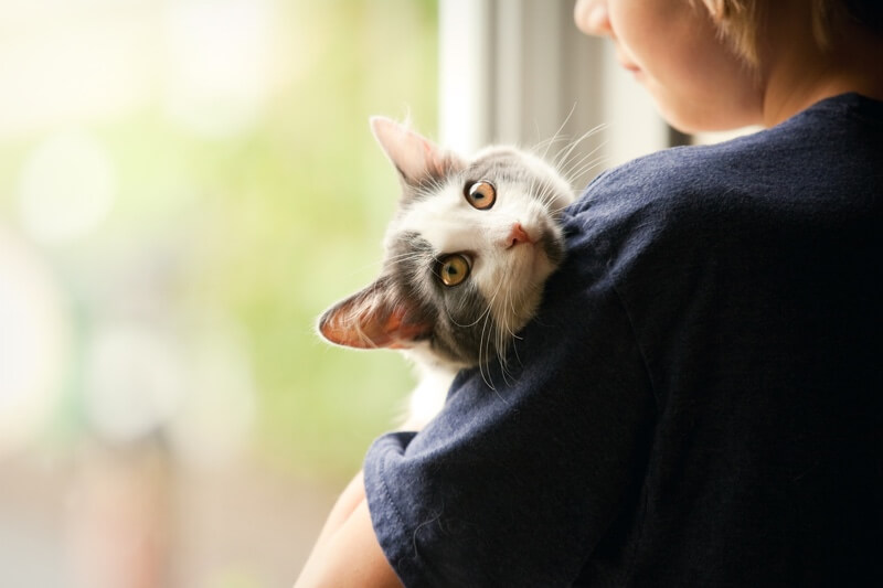 cat being held by boy next to window