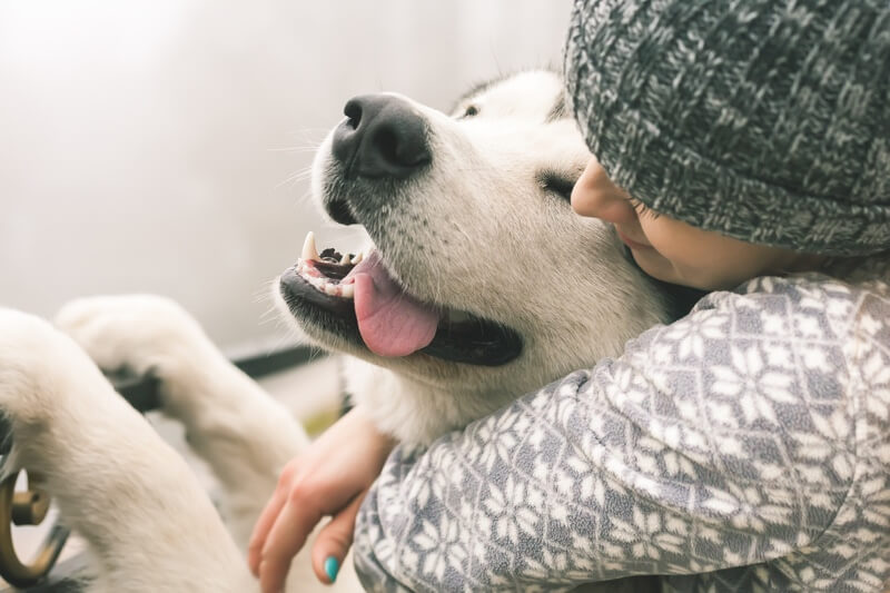 woman embracing a happy dog