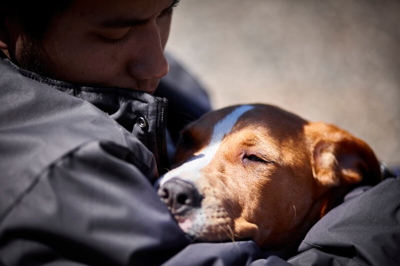 man holding sleeping dog