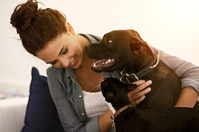 black dog and tuxedo cat with woman on a couch