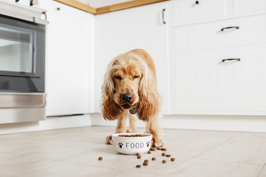 Policosanol (Triacontanol) supplier Policosanol (Triacontanol) supplier