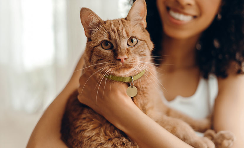 Smiling woman holds an orange tabby cat wearing a green collar and ID tag.