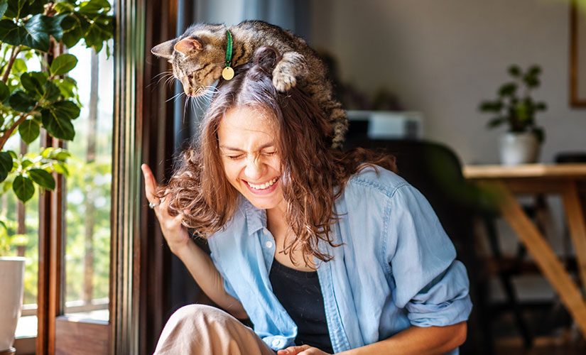 woman laughs as a tabby cat playfully lies across her head and shoulders near a sunny window.