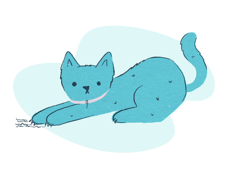 Understanding Pet Behavior ASPCA Pet Health Insurance