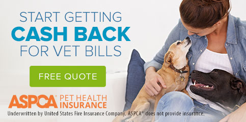 ASPCA-Pet-Insurance-483X241