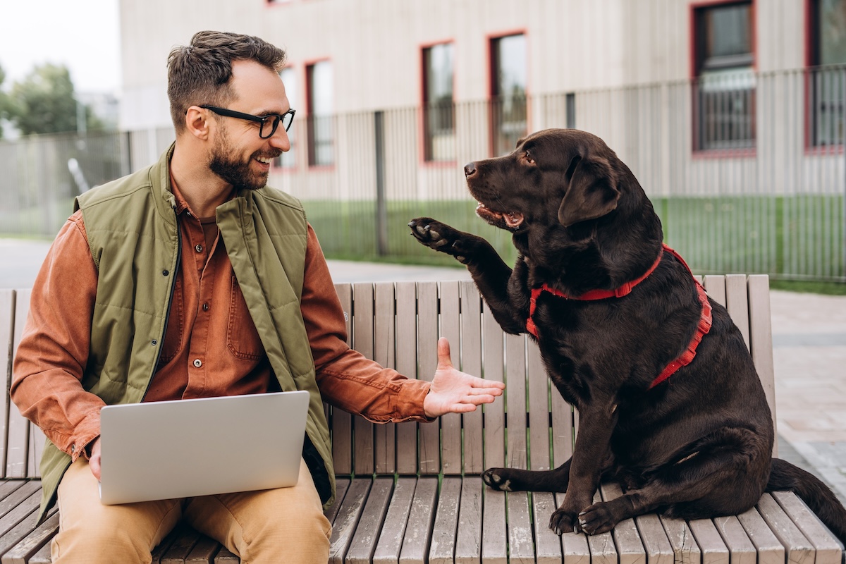 man with dog on bench