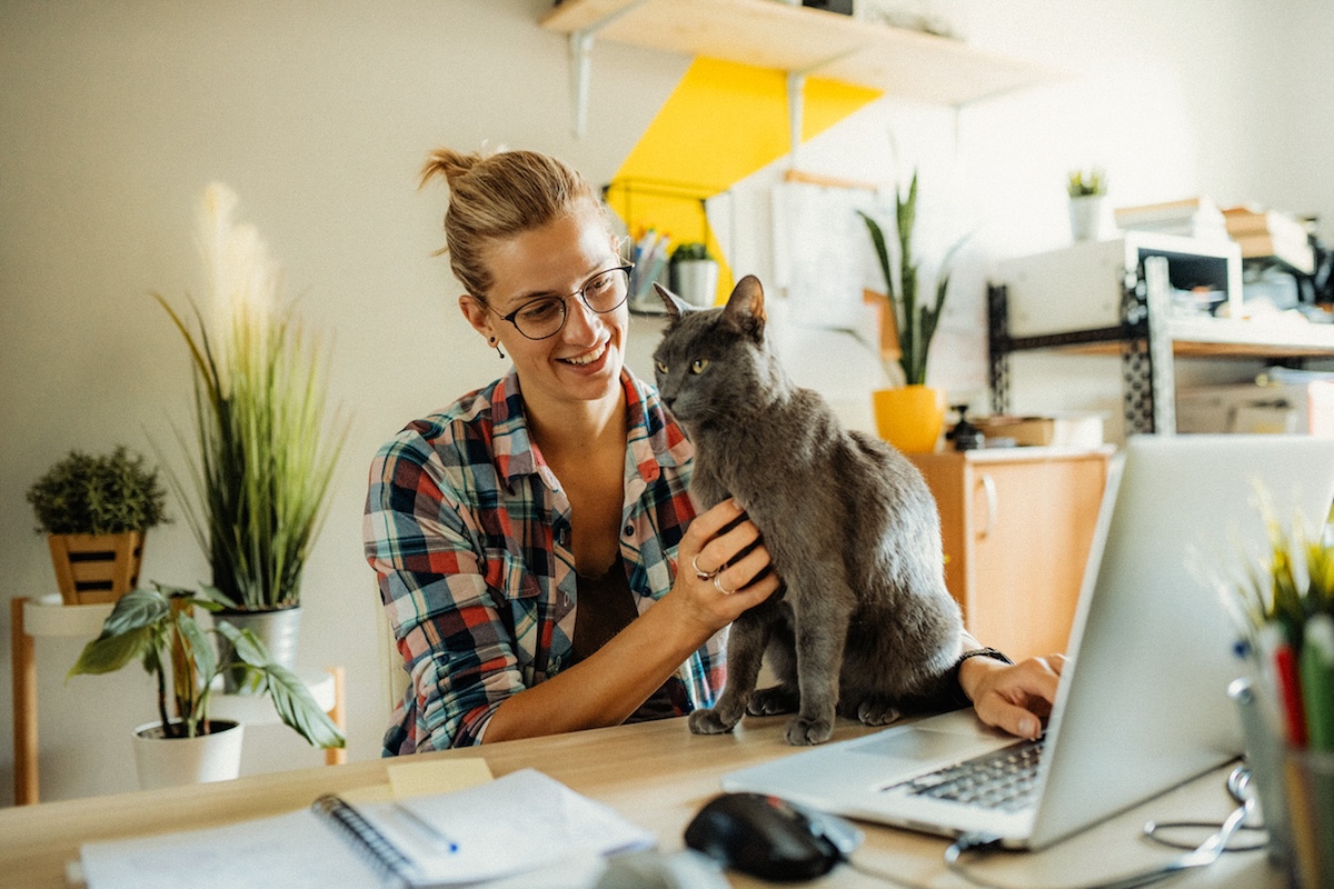 woman with cat on desk and laptop