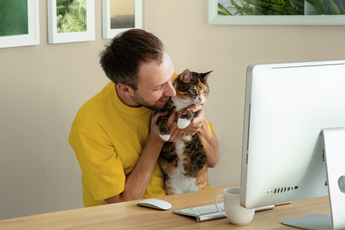Man with cat at mac desktop