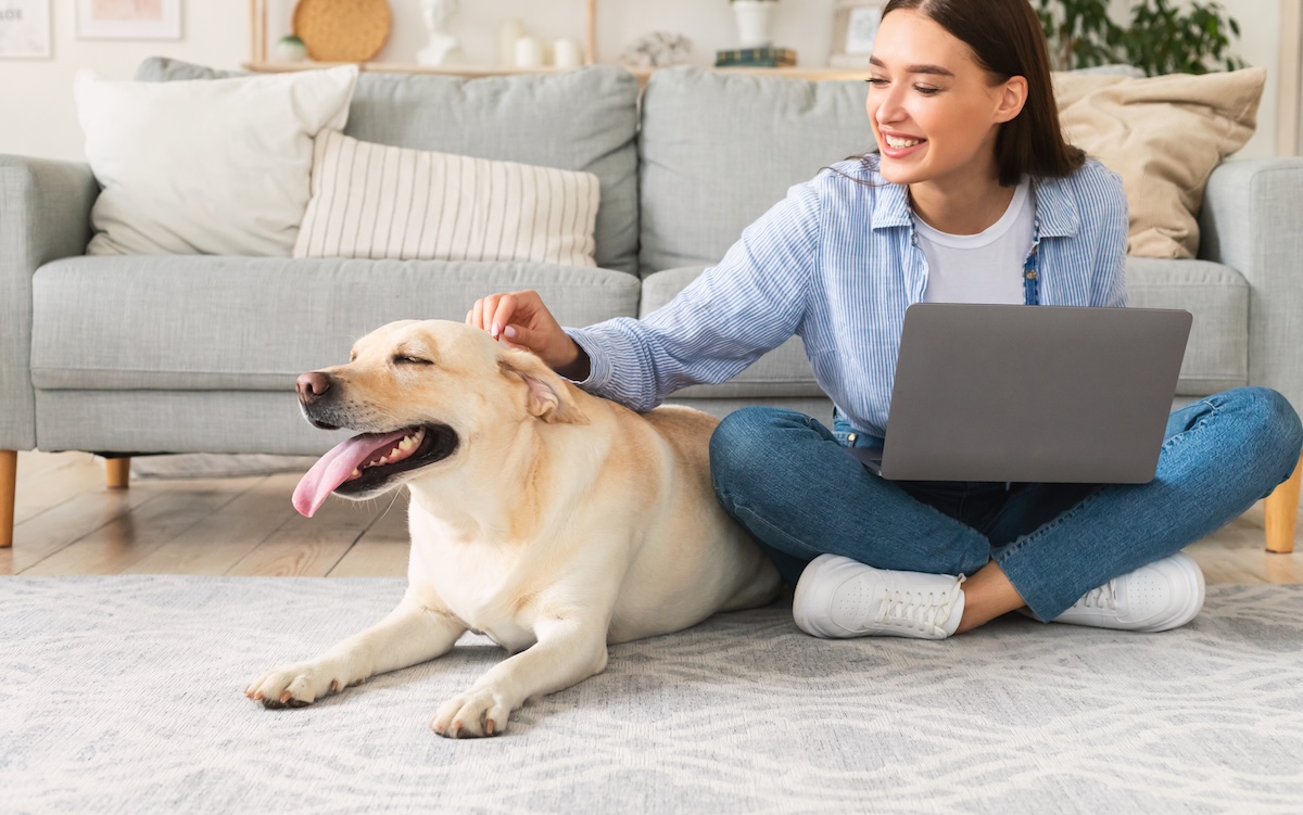 women with dog and laptop
