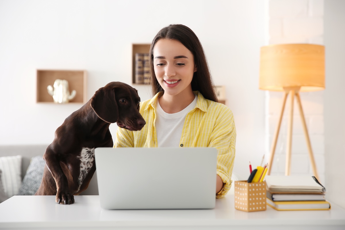 woman with dog at laptop